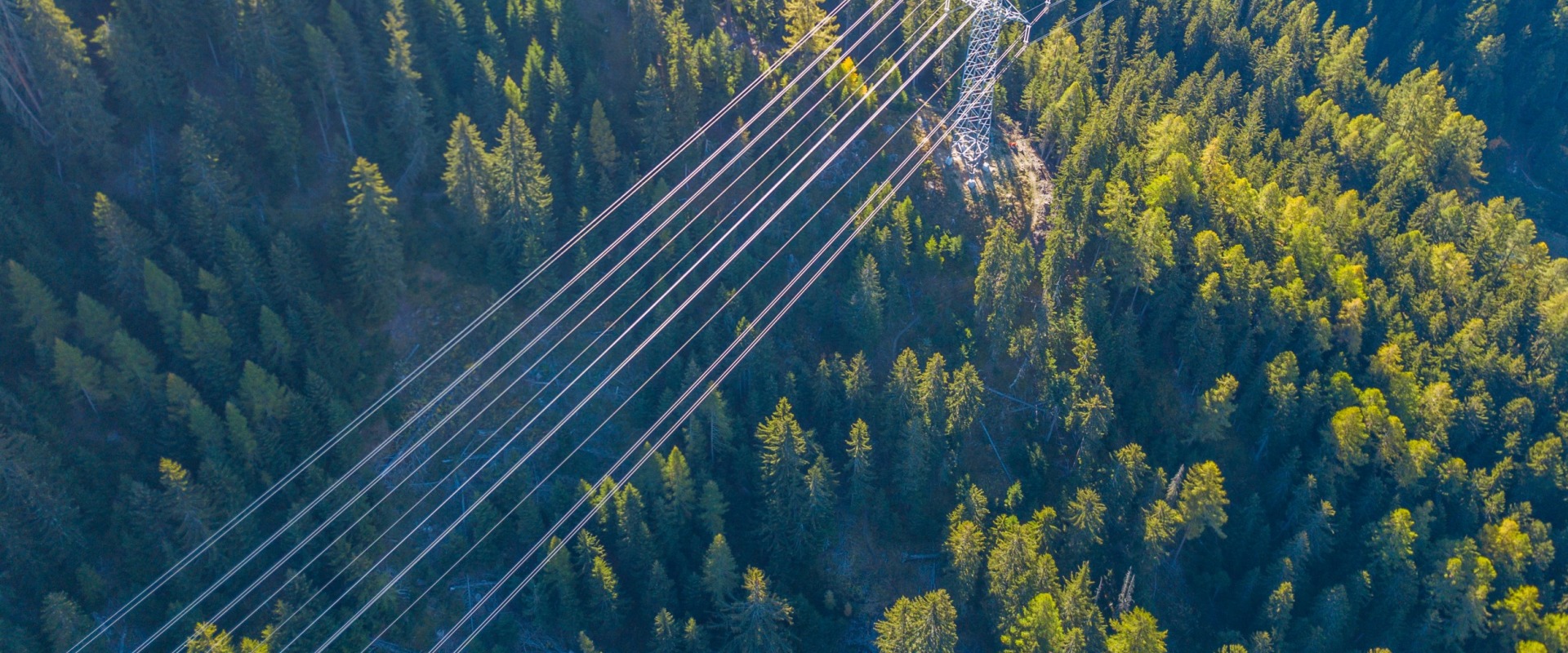 Die gängigsten Arten von Wechselstromsystemen und wie man das richtige auswählt